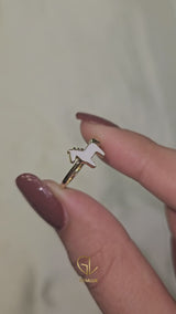 horse ring 1